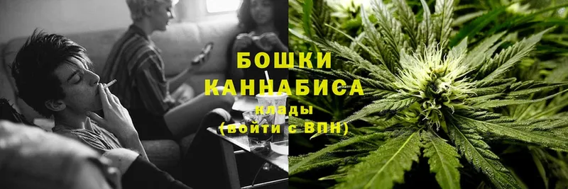 продажа наркотиков  Алейск  Бошки марихуана SATIVA & INDICA 